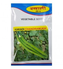 Cucumber Chandramukhi